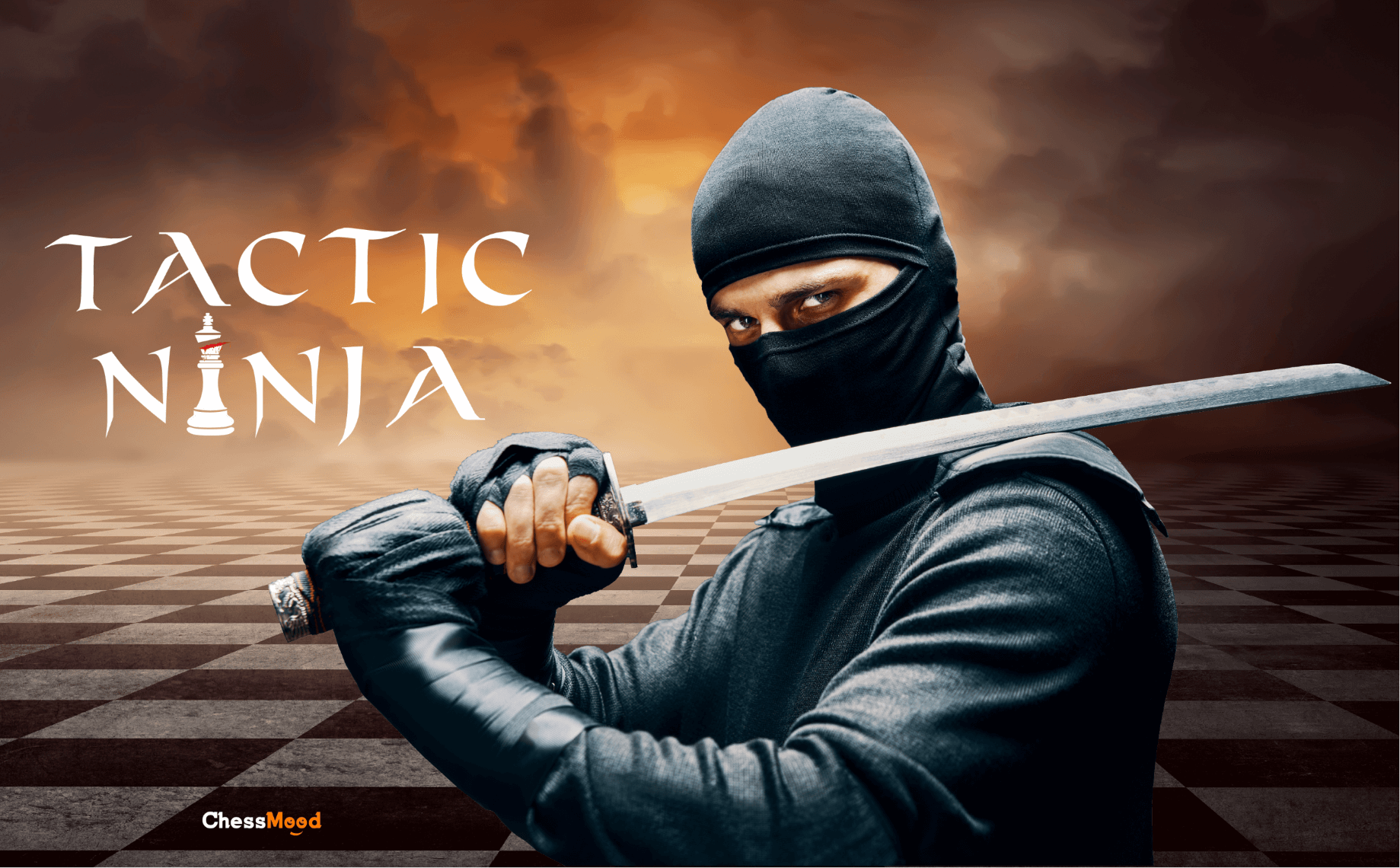 Tactic Ninja Chess tactics training with a GM(Stepbystep)